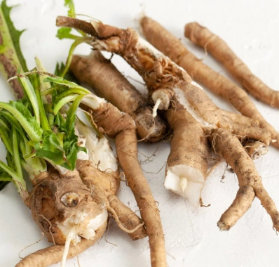 Chicory Root Inulin Prebiotic Fiber — Gut bacteria nourishment ingredient in Sodatide weight loss supplement